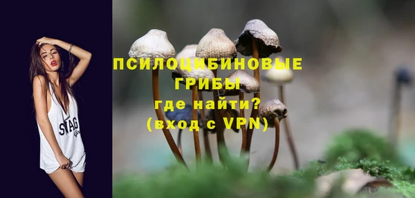 мет Верхний Тагил