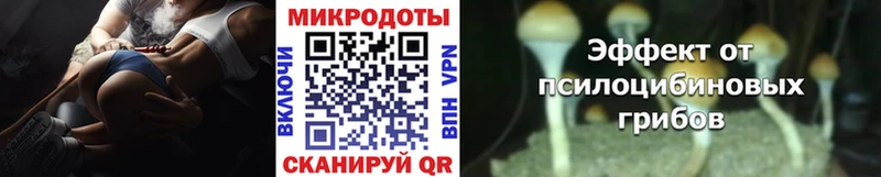 Галлюциногенные грибы Cubensis Пестово